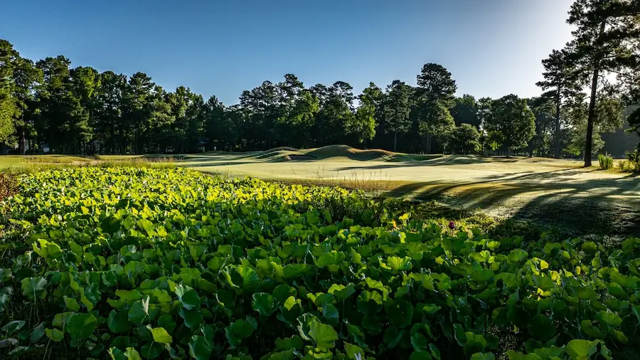 Long Bay Golf Club, view 2