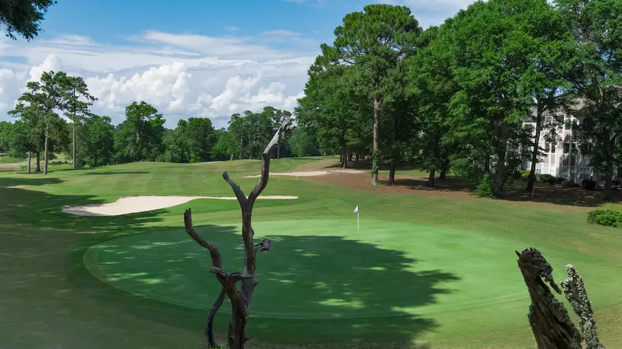 Sea Trail – Maples Course, view 3